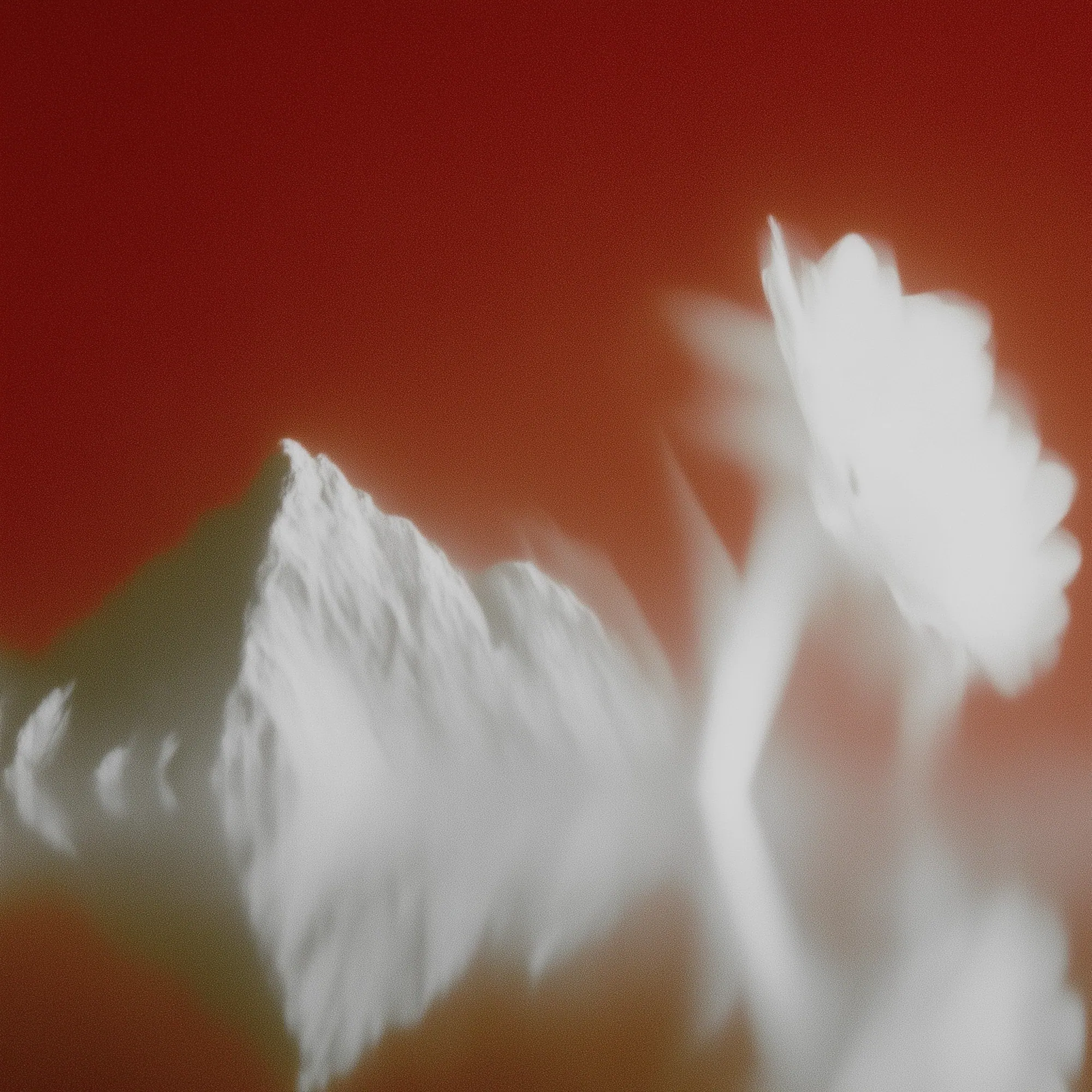 Ascent