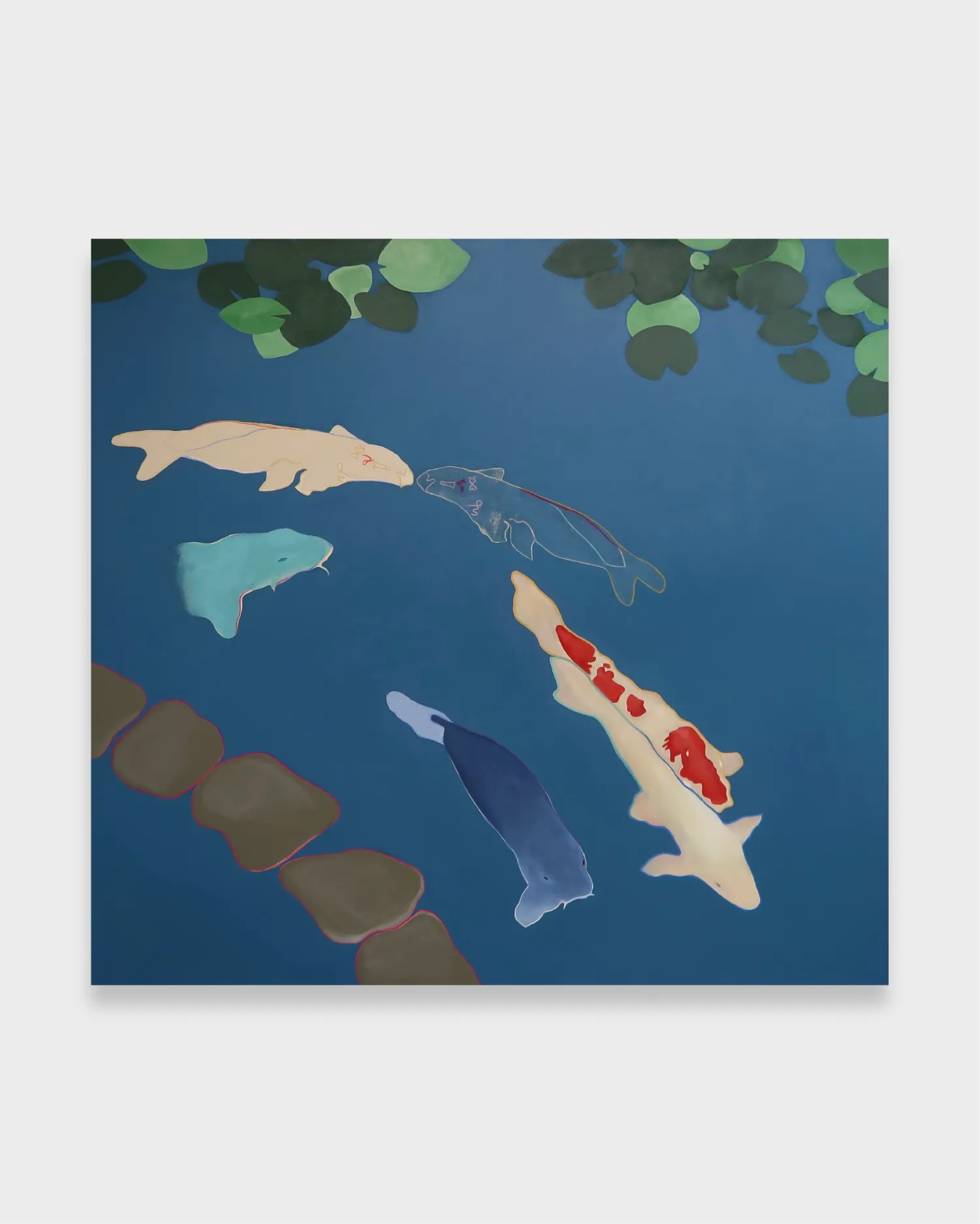 Koi Kiss — in situ